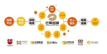 芒果超媒上半年業績飆升 扣非凈利勁增74倍，會員與廣告業務雙翼齊飛